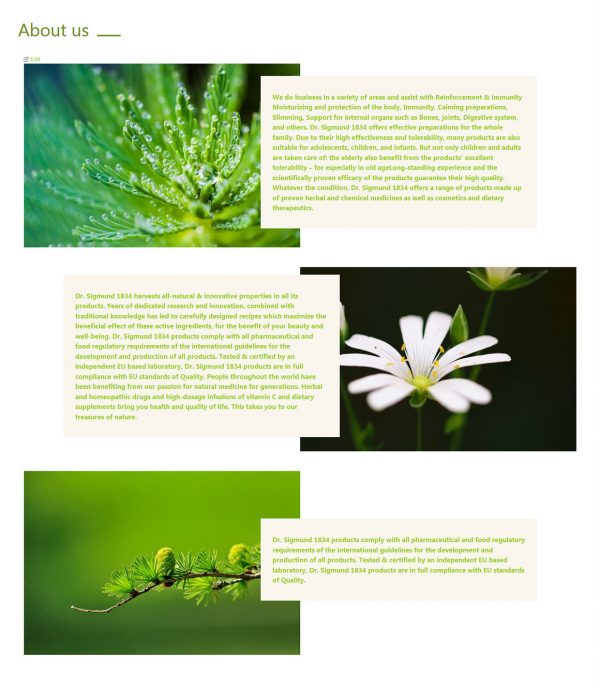 Dr. Sigmund - Wordpress Theme