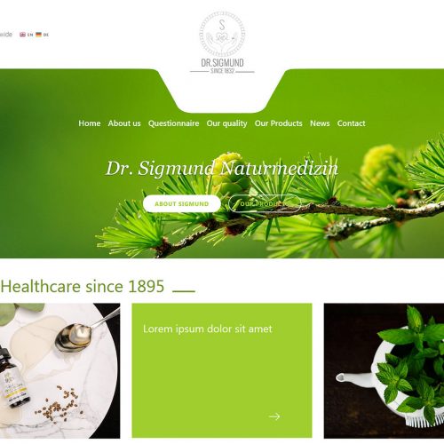 Dr. Sigmund - Wordpress Theme
