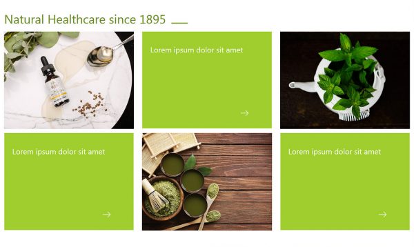 Dr. Sigmund - Wordpress Theme